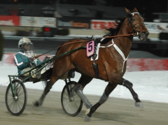 Random Shot 170111-1